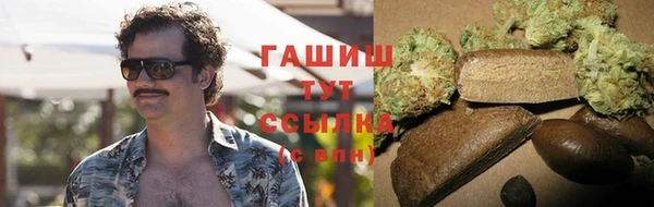 мяу мяу мука Гусев