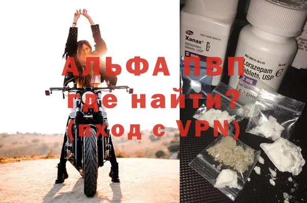 мяу мяу мука Гусев