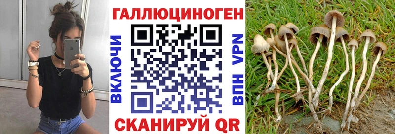 Псилоцибиновые грибы MAGIC MUSHROOMS  blacksprut вход  Чёрмоз 