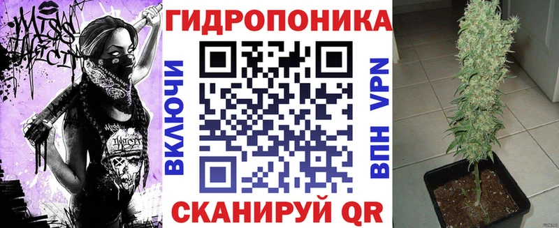 Каннабис SATIVA & INDICA Чёрмоз